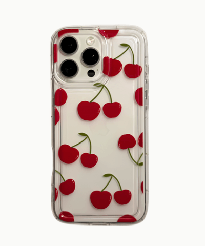Cerecita Case